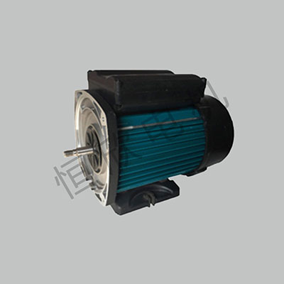 浴缸泵电机 HX-078